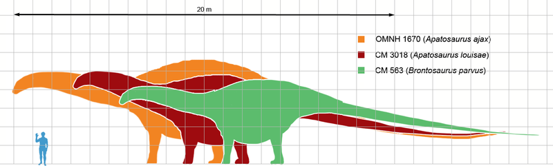 Bronatsaurus Chart Pattern The Case of the Brontosaurus – Forsyth Astronomical Society
